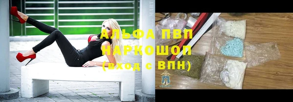 стафф Богородицк