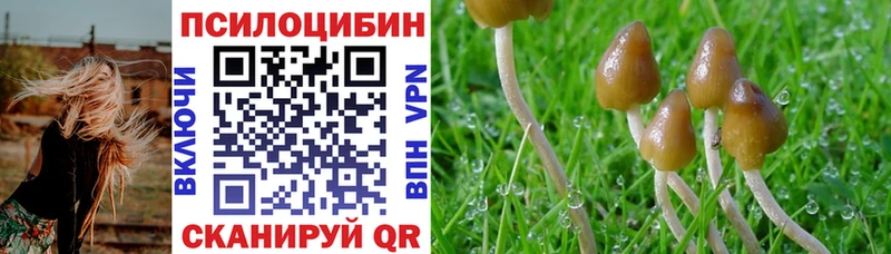Псилоцибиновые грибы прущие грибы  Котельнич 